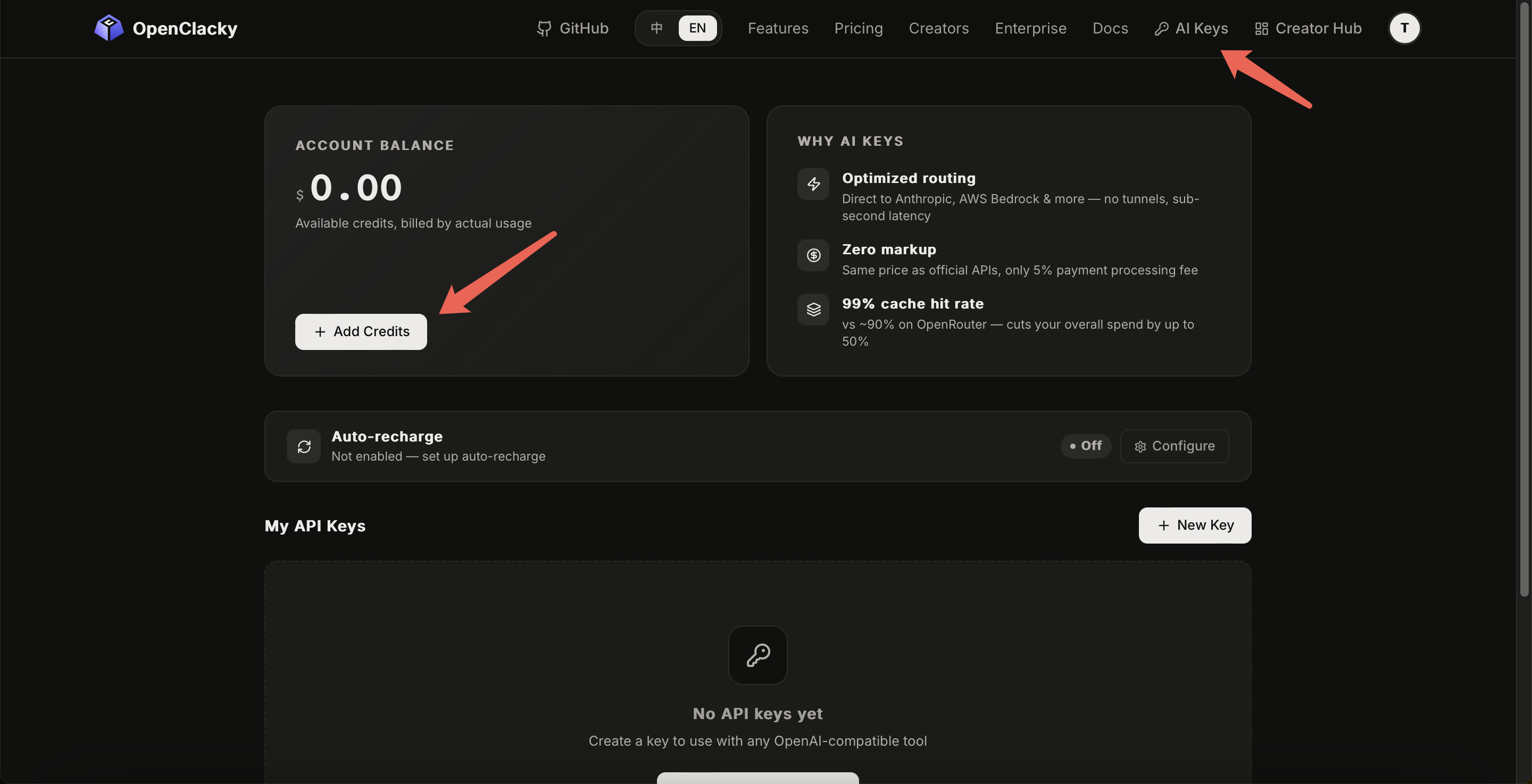 OpenClacky top up page